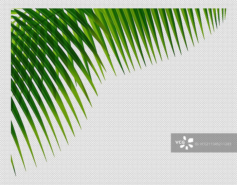 绿叶装饰素材图片素材