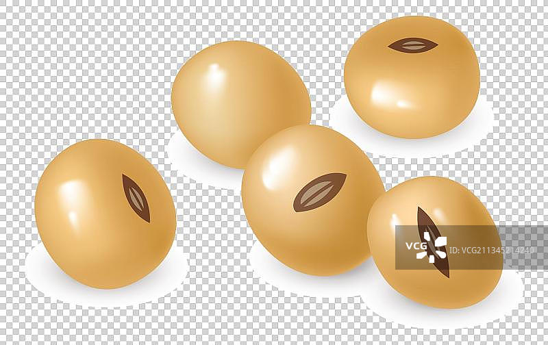 五颗黄豆图片素材