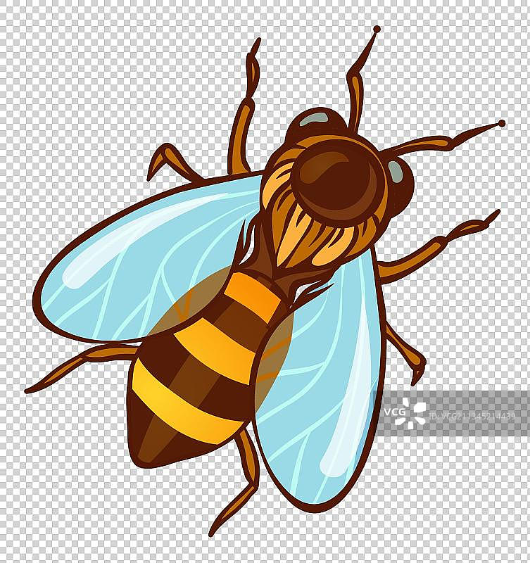 卡通黄色小蜜蜂图片素材