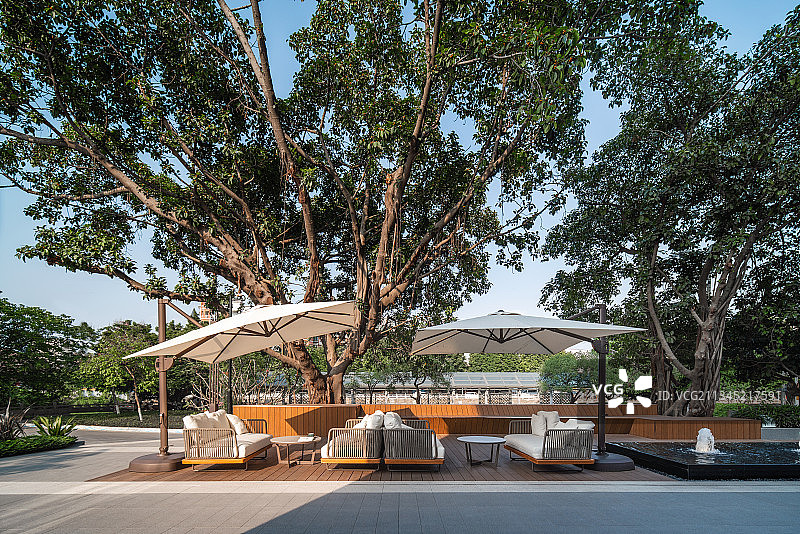 古榕树下的悠闲生活图片素材