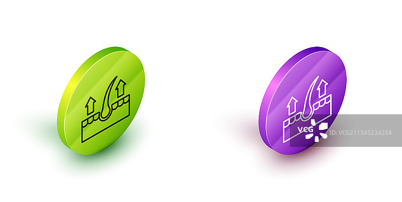 2.5D线条人毛囊图标图片素材