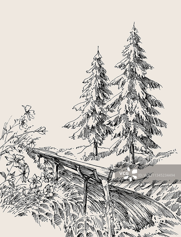 河岸上的自然风光松树林图片素材