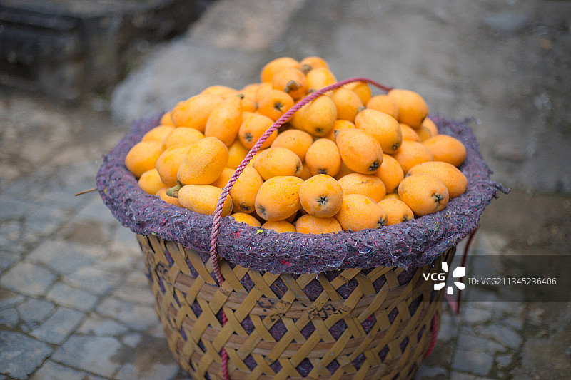 莆田特产 常太镇枇杷图片素材