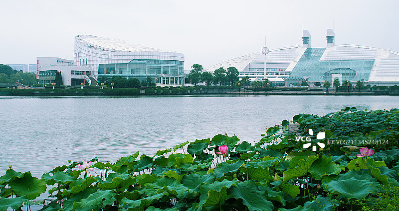 中国杭州浙江大学紫金港校区夏天风光图片素材