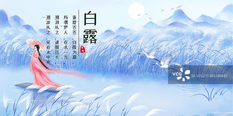 白露节气海报图片素材