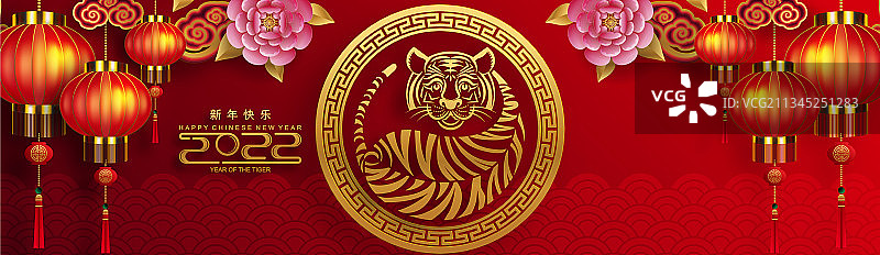 2022年老虎图案642图片素材