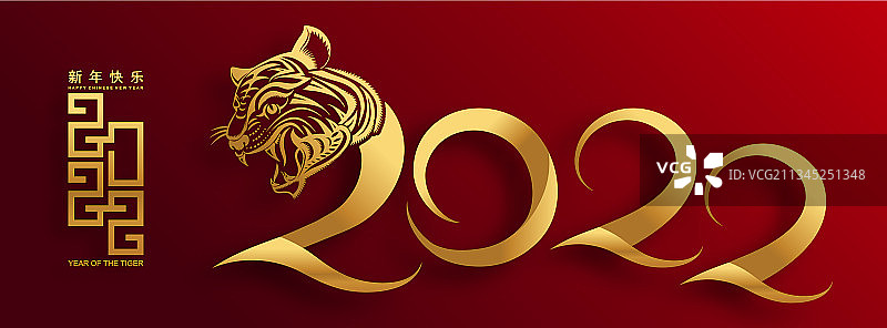 2022年老虎图案660图片素材