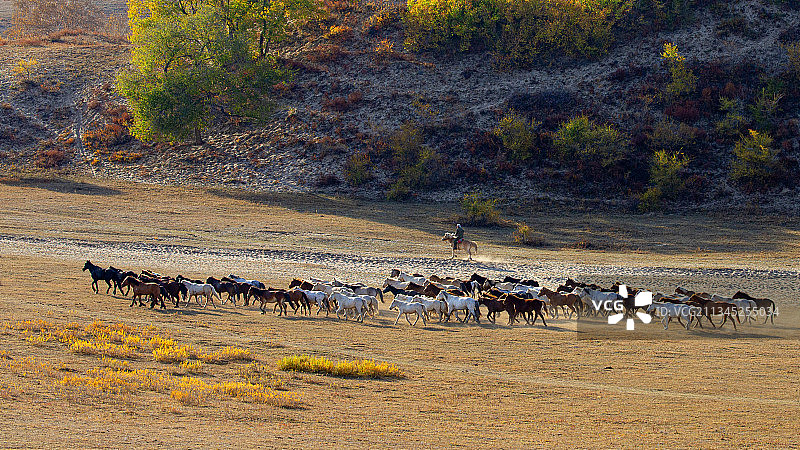 坝上秋色图片素材
