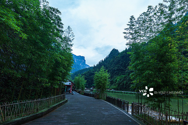 秭归县三峡竹海图片素材
