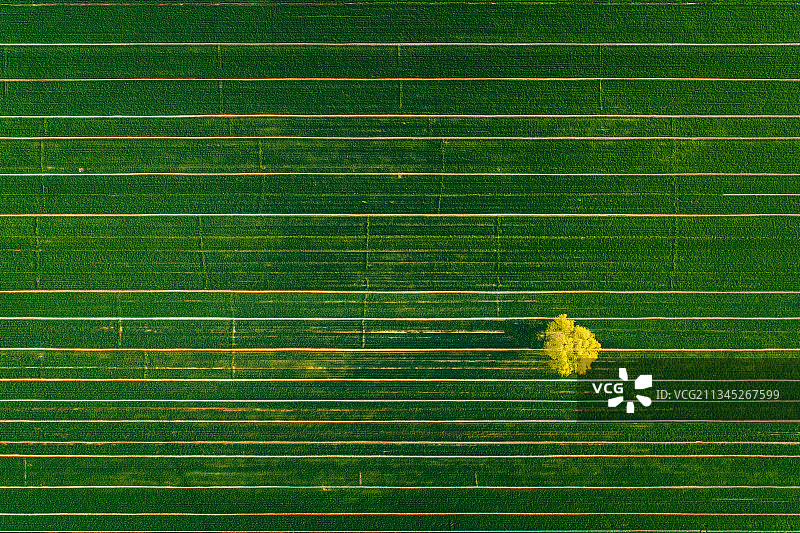 中国河南郑州荥阳汜水镇美丽乡村图片素材