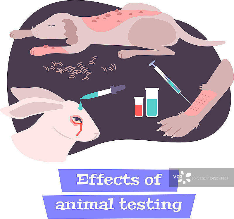 动物试验影响构图图片素材