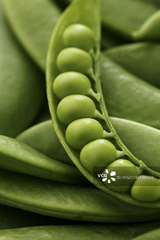 绿色豌豆 green beans图片素材