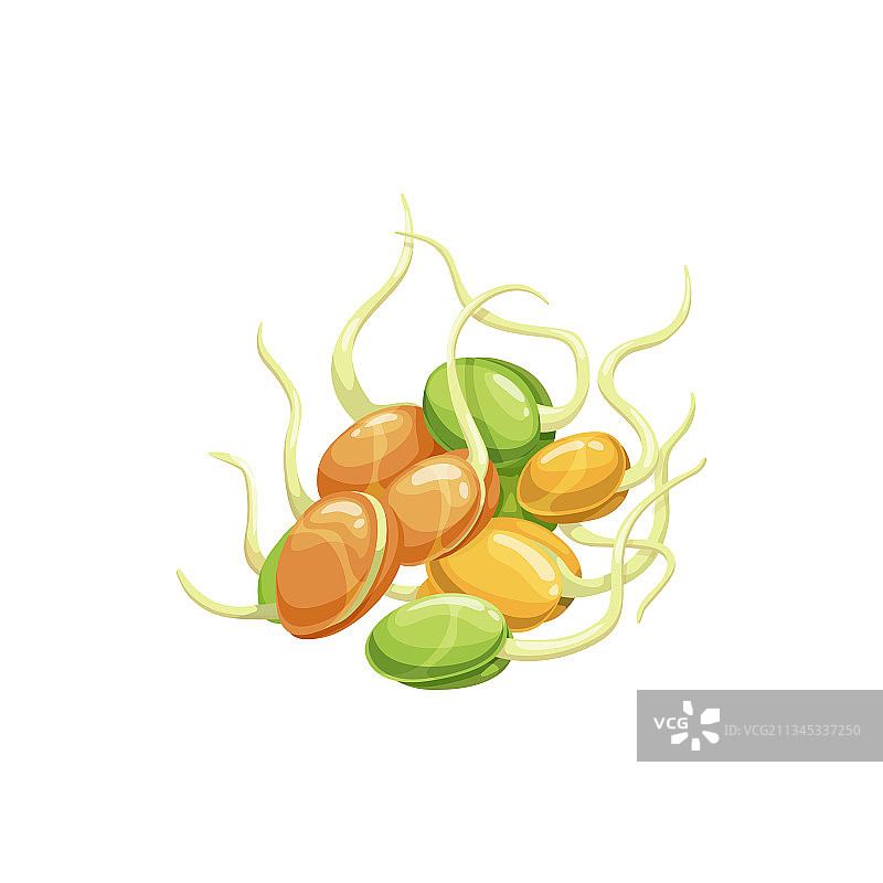 分离式逼真大豆芽图片素材