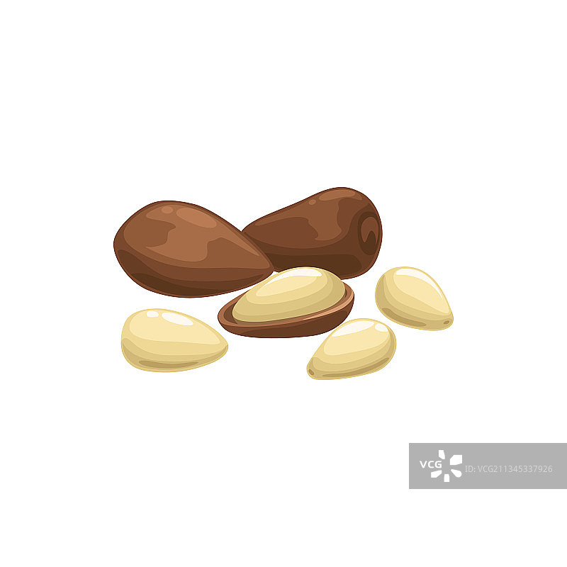 去皮坚果食品图片素材