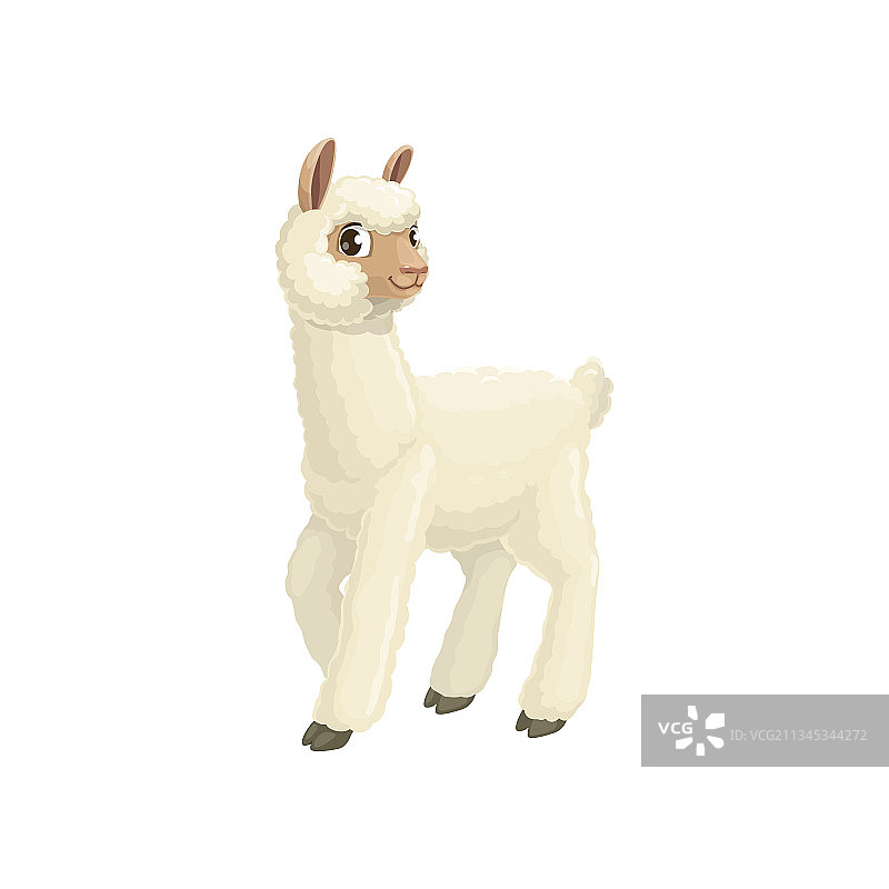 白色美洲驼羊驼动物图标图片素材