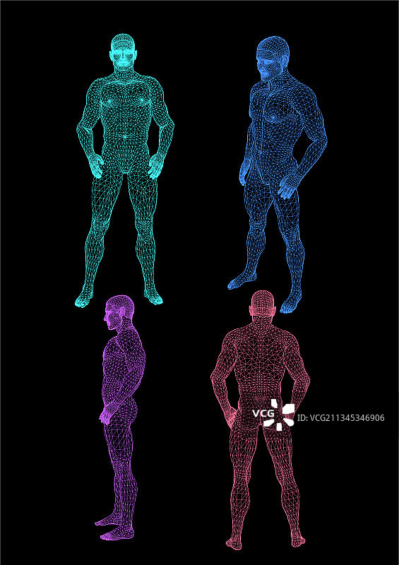 骨骼正面和侧面轮廓图片素材