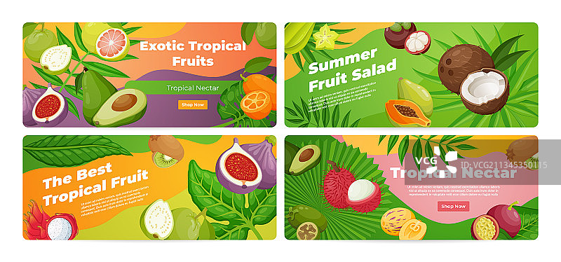 异国热带水果着陆页集合图片素材