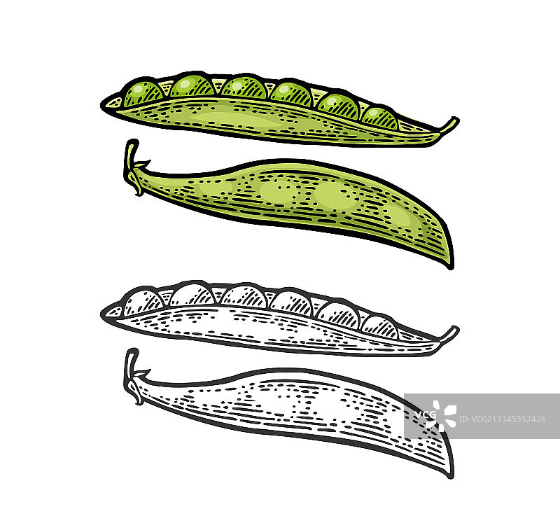 豌豆荚 - 闭合和打开的黑色复古风格图片素材