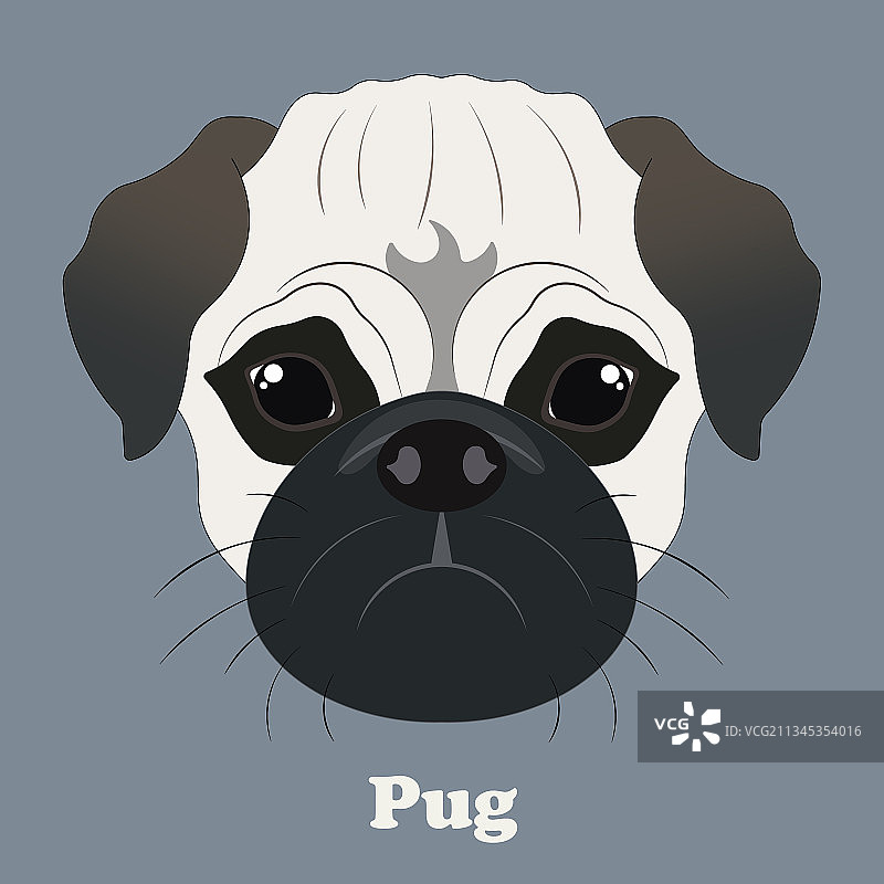 带有漂亮小狗背景的巴哥犬图案图片素材