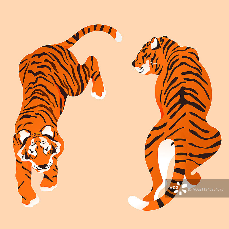 卡通虎年生肖元旦春节喜庆新年过年传统节日中国风国潮矢量插画图片素材