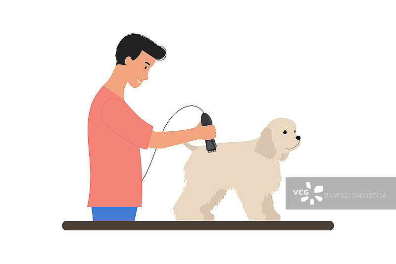 人们给狗梳毛的场景合集图片素材