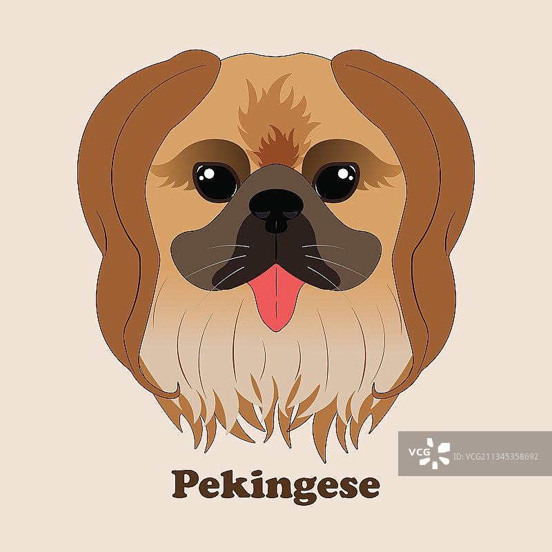 带有可爱小狗背景的京巴犬印花图片素材