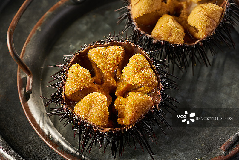 新鲜食用海胆图片素材