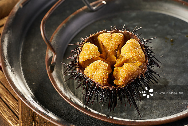 新鲜食用海胆图片素材