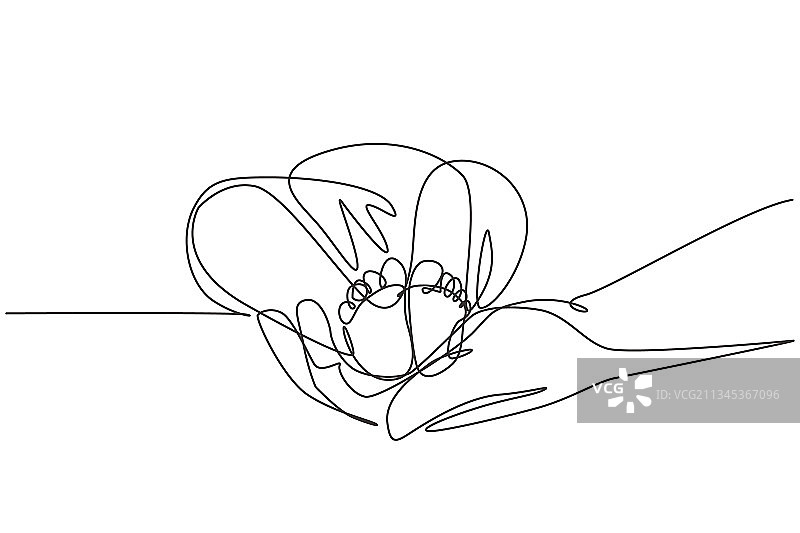 单线条婴儿脚图片素材