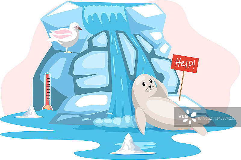 冰川上寻求帮助的可爱海豹和北极鸥图片素材