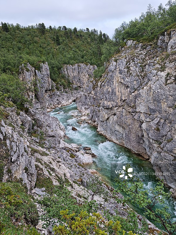 挪威的河流树木风光图片素材