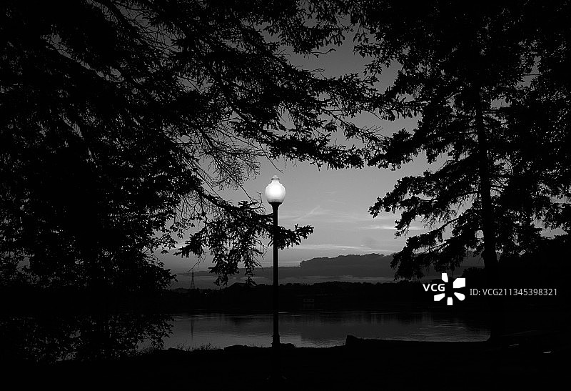 日落时分湖畔的树木剪影图片素材