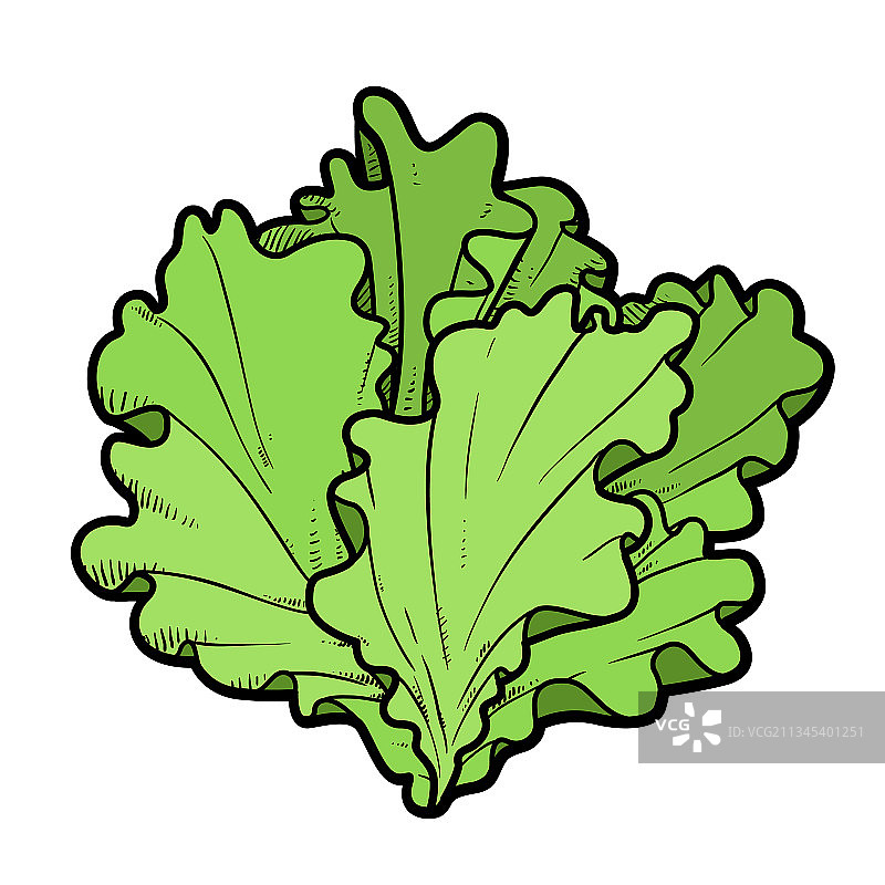 着色页花序颜色变化图片素材