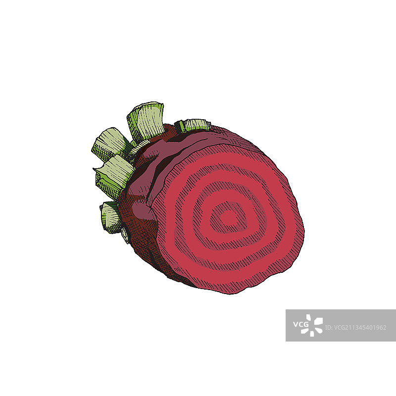 半个红色根甜菜农业蔬菜图片素材