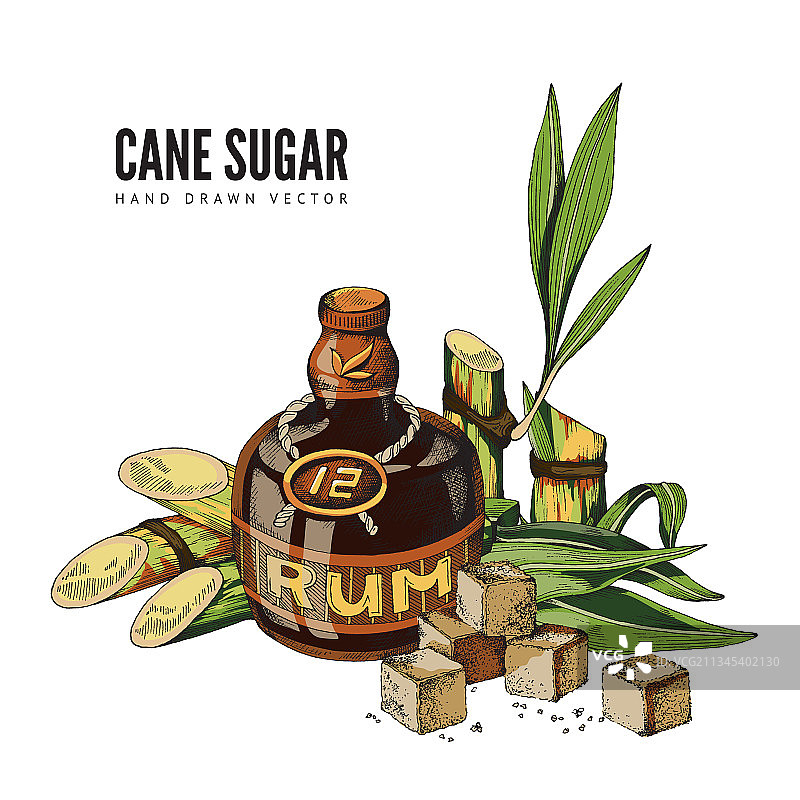 带有手杖的彩色手绘设计海报图片素材