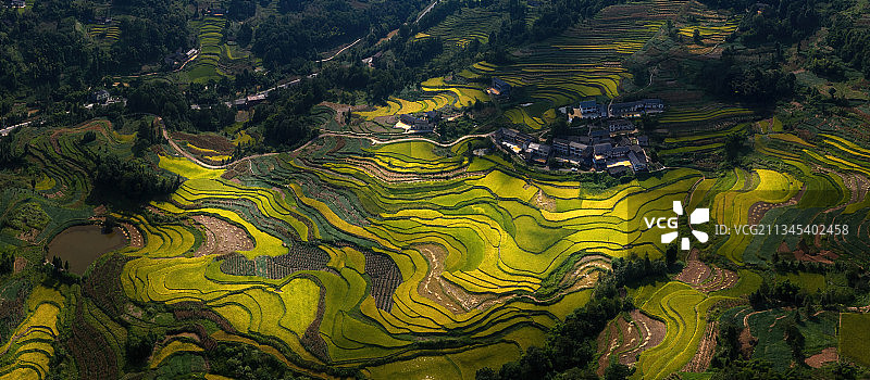 重庆江津：美丽乡村展画卷 秋色迷人惹人醉图片素材