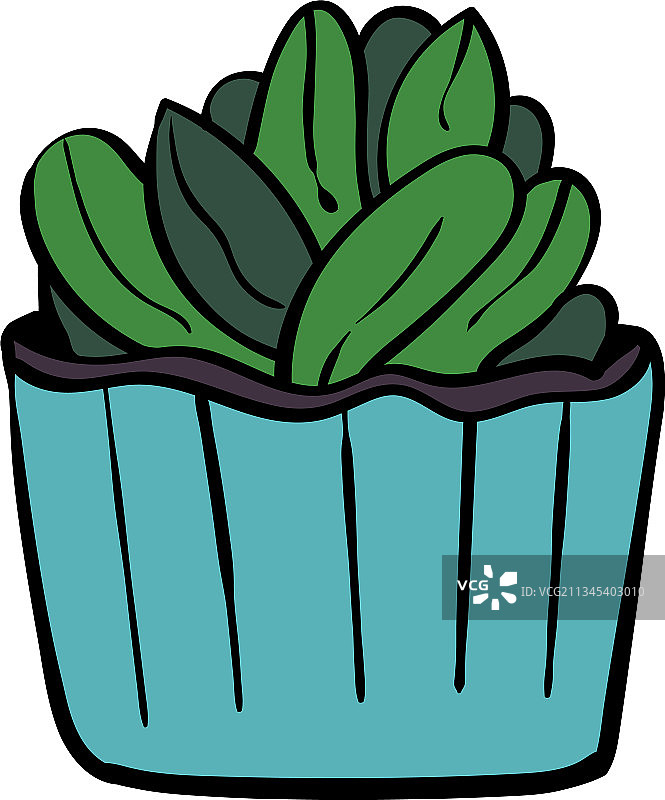 Echeveria绿色多肉剪贴画图片素材