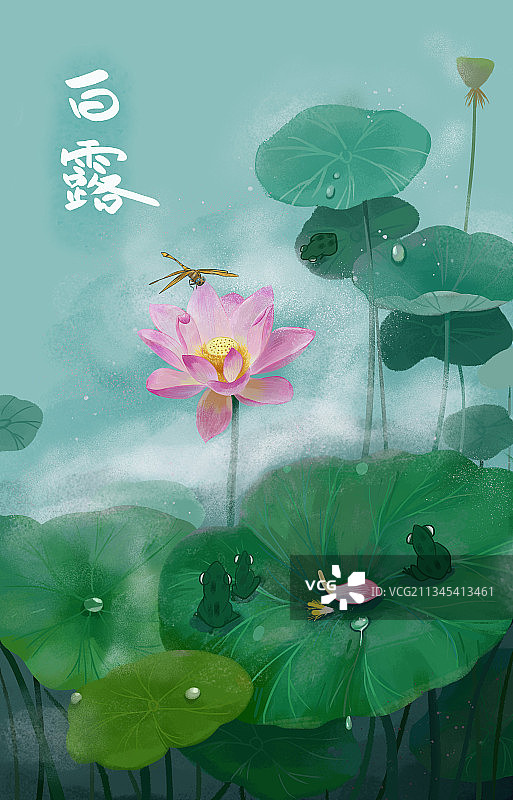 节日节气白露商业插画图片素材