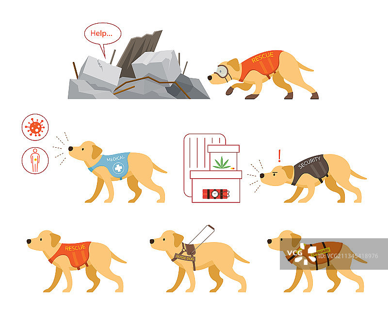 辅助犬套装图片素材