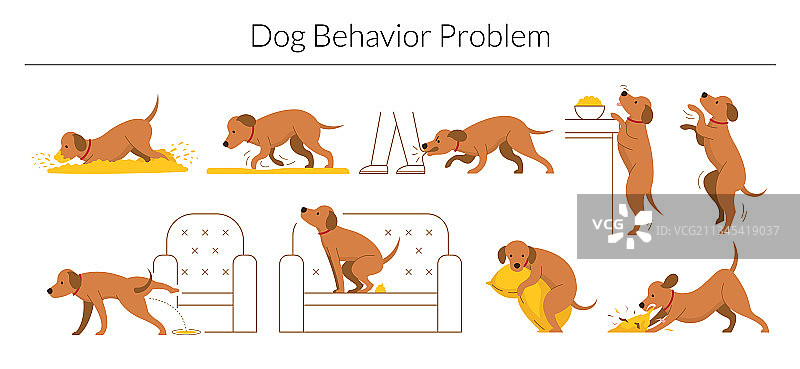 狗的行为问题合集图片素材