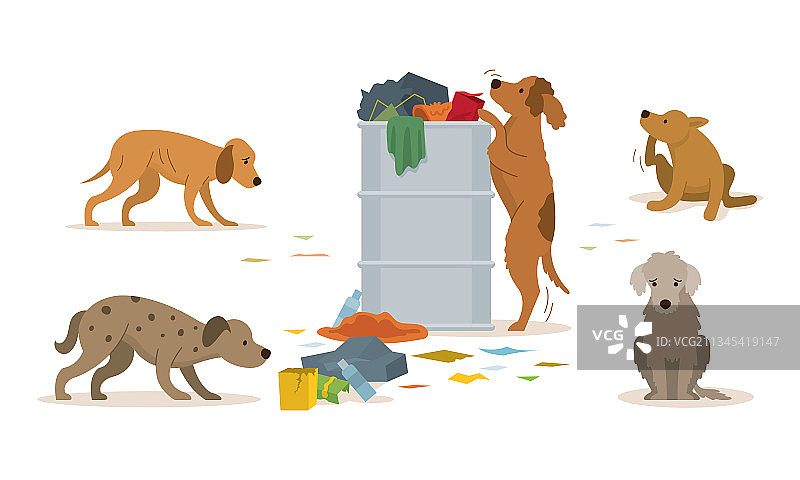 一群流浪狗翻找垃圾桶图片素材