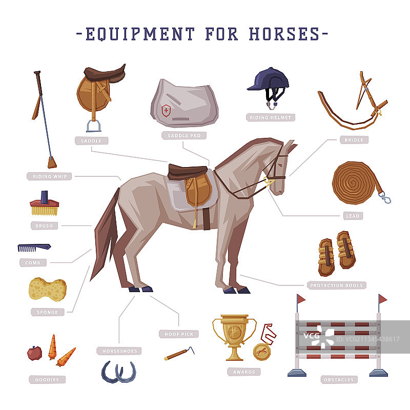 马术运动必备装备图片素材