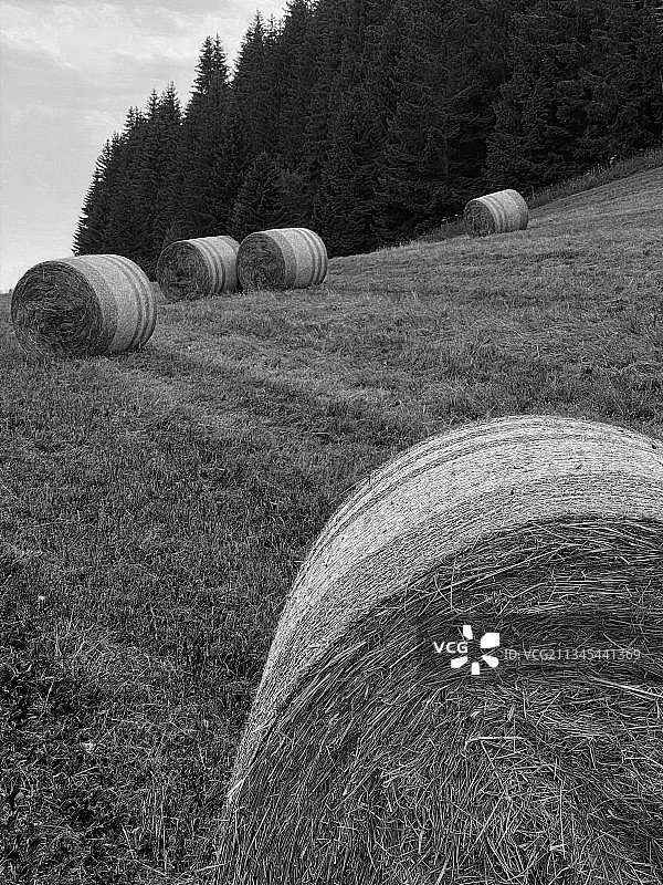田野干草捆美景图片素材