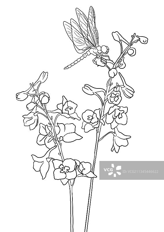 鲜花自然背景绘画图片素材