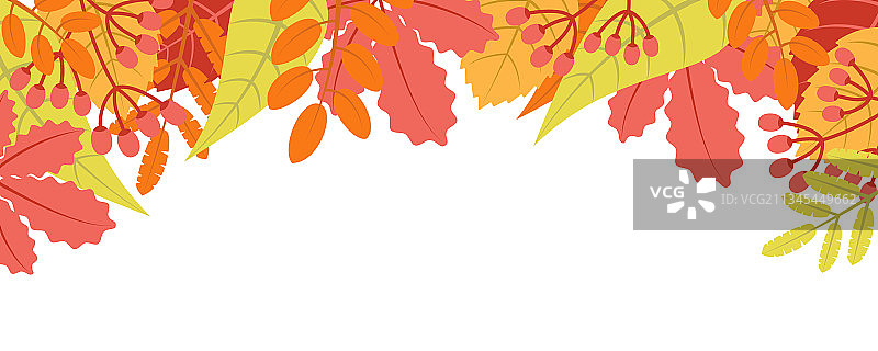 秋季树叶图案自然背景图片素材