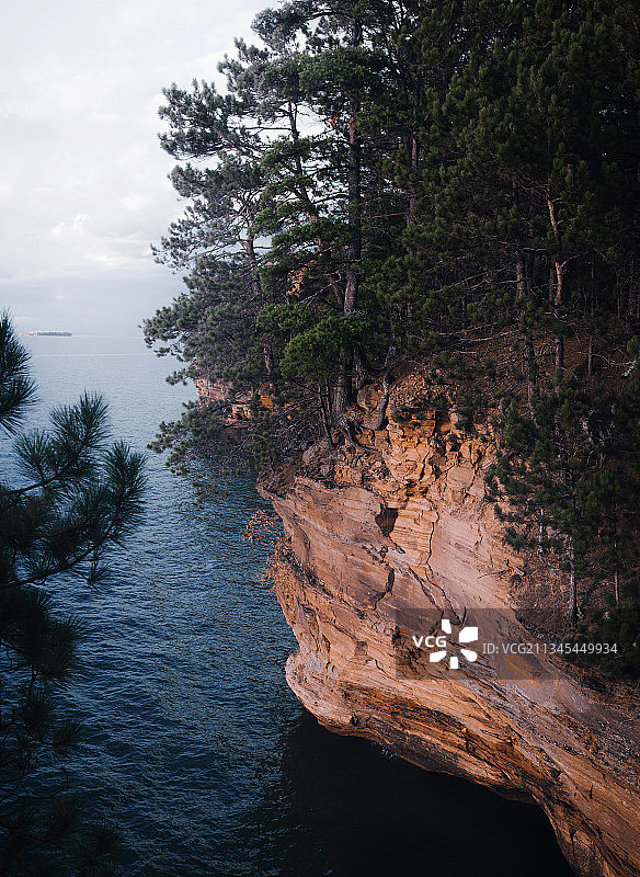 美国使徒群岛湖岸森林中河边树木高角度视图图片素材