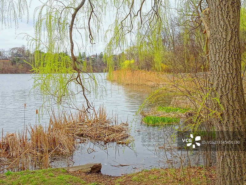 加拿大掷弹兵池塘湖泊森林风光图片素材