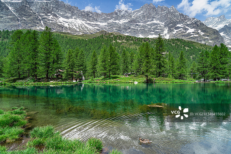 意大利瓦尔图南什蓝色湖泊的树木美景图片素材