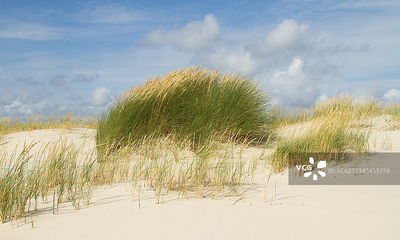 荷兰泰尔斯海灵海滩的风景图片素材
