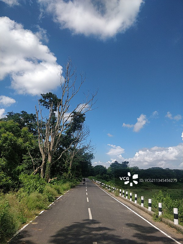 印度奥里萨邦克塔克树木中的空旷道路图片素材